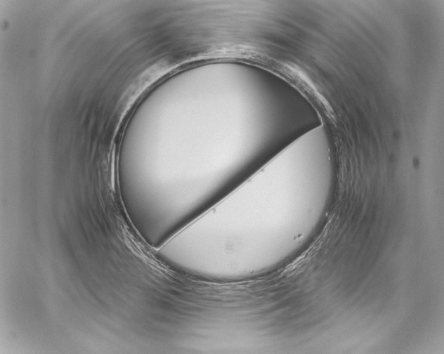 X0000060251276200510280929