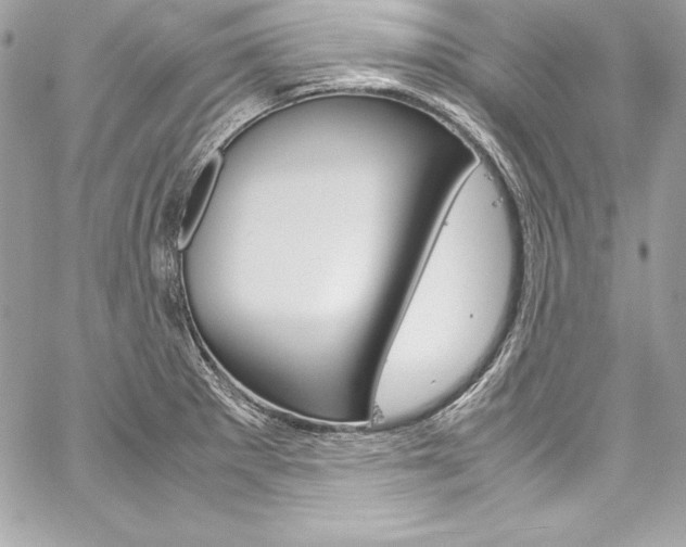 X0000060251281200510280929