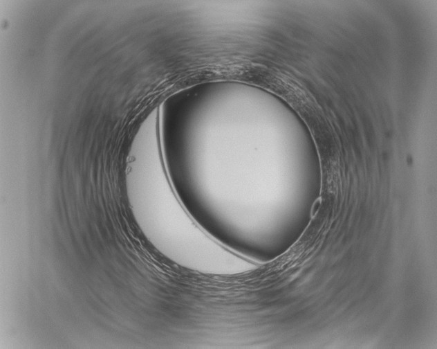 X0000060251298200510280928