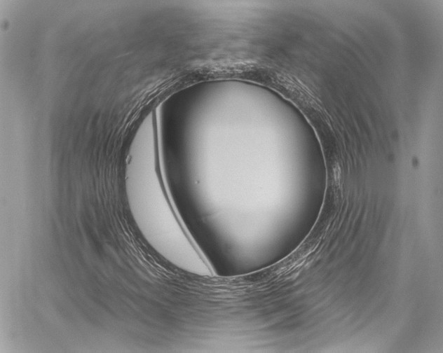 X0000060251300200510280928
