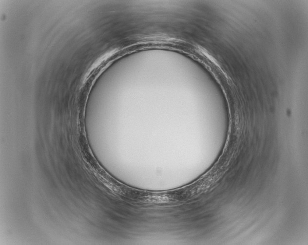 X0000060251315200510280928