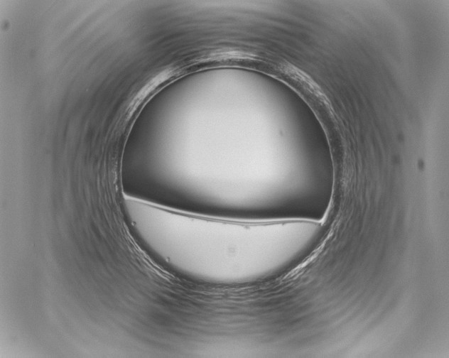 X0000060251321200510280928