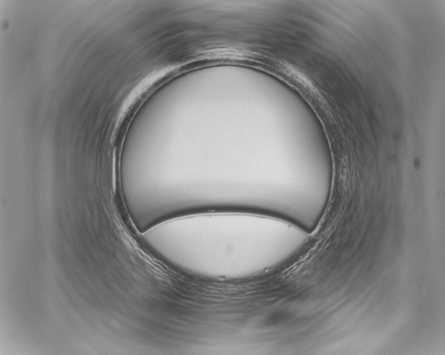 X0000060251323200510280928