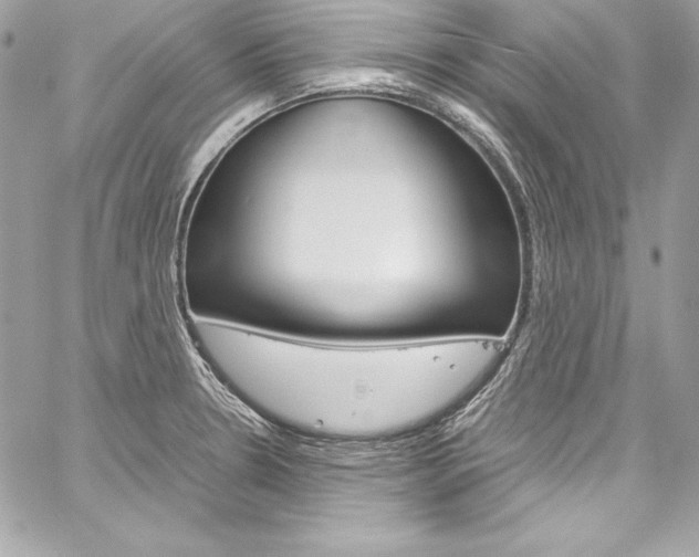 X0000060251330200510280928