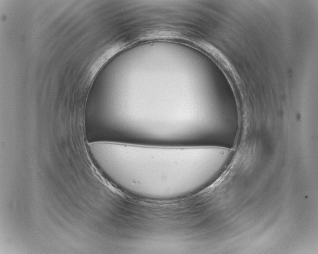 X0000060251337200510280929