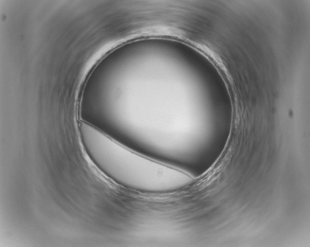 X0000060251342200510280929