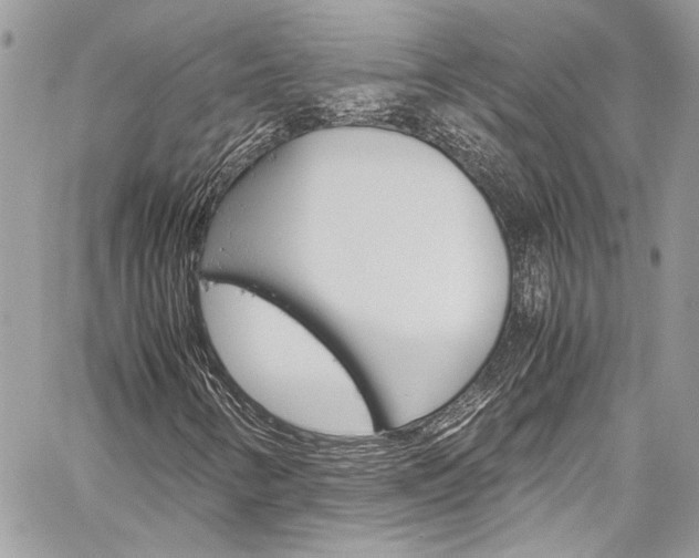 X0000060251346200510280928