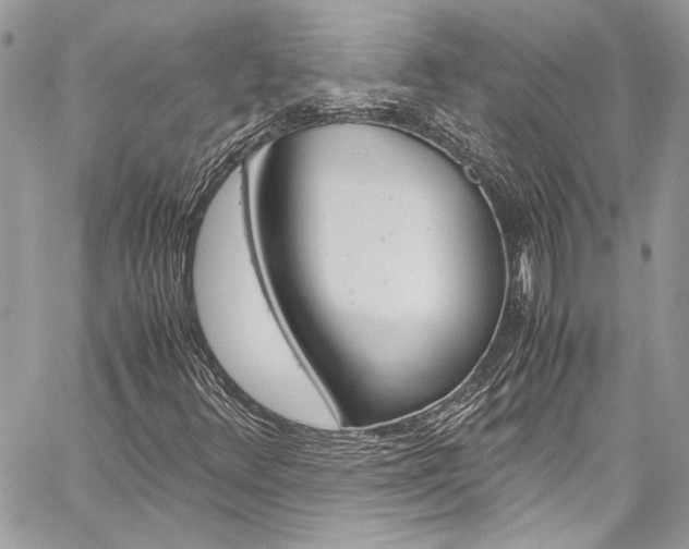 X0000060251348200510280928