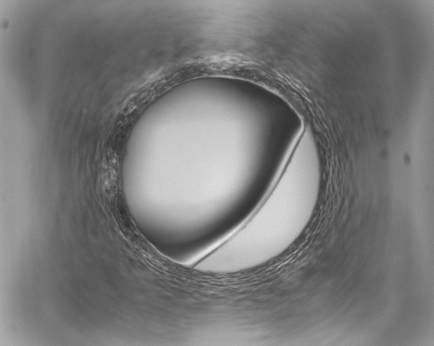 X0000060251349200510280928