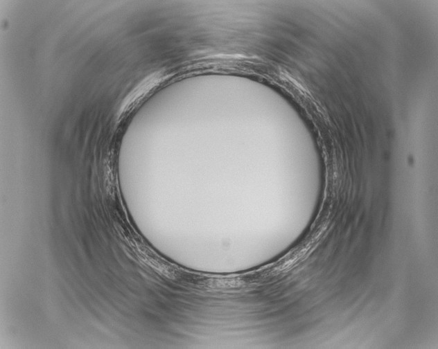 X0000060251354200510280928