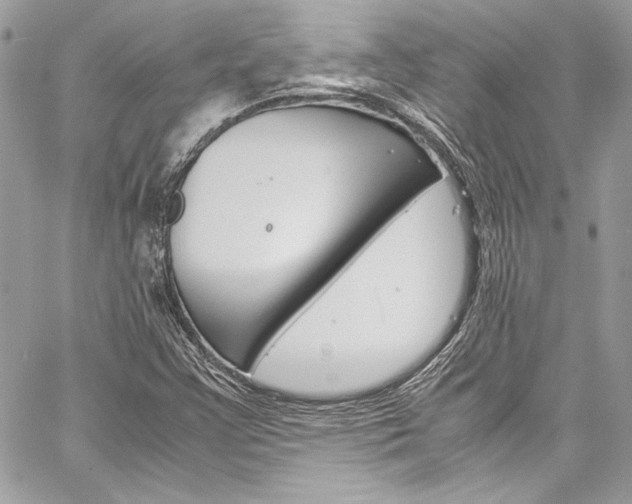 X0000060251355200510280928