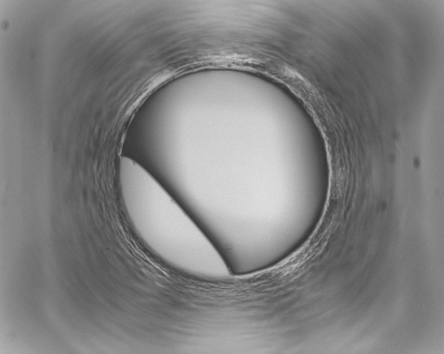 X0000060251361200510280928