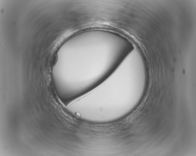 X0000060251363200510280928