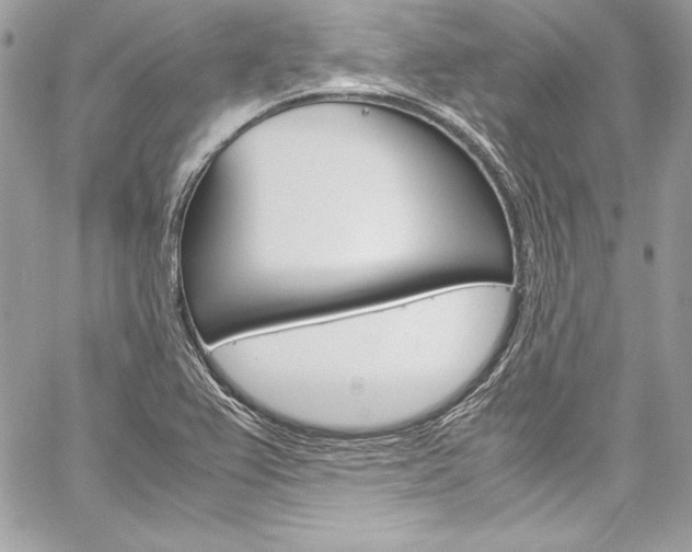 X0000060251367200510280928