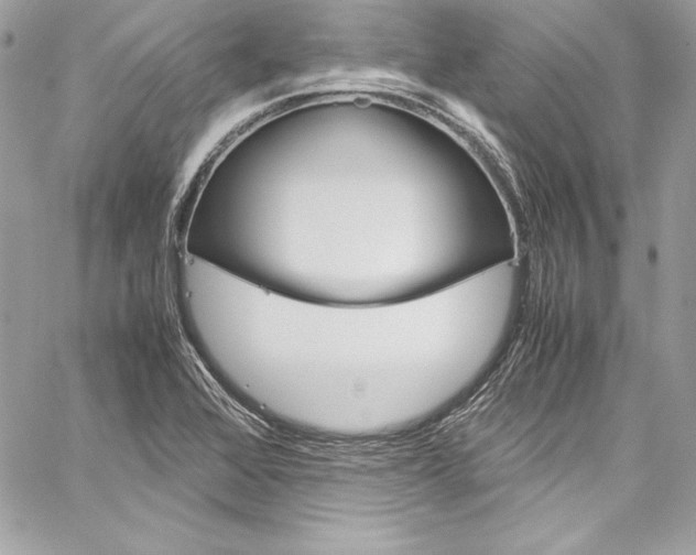 X0000060251368200510280928