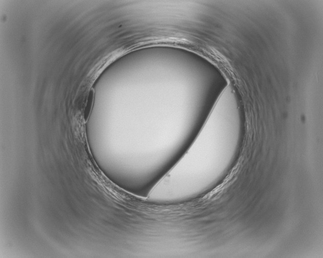 X0000060251369200510280928