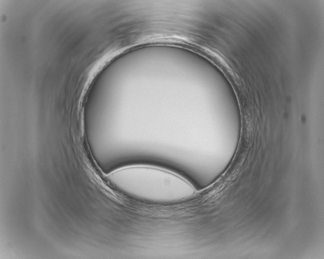 X0000060251371200510280928
