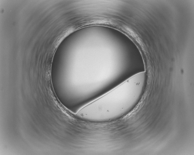 X0000060251377200510280927