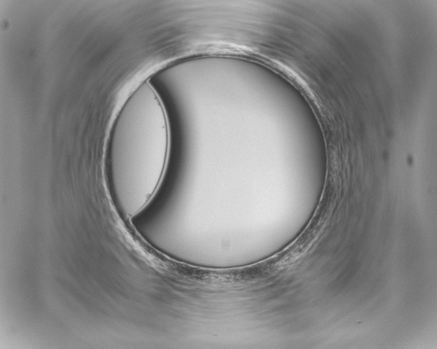 X0000060251379200510280927