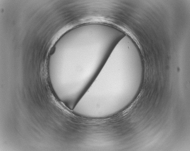 X0000060251382200510280927