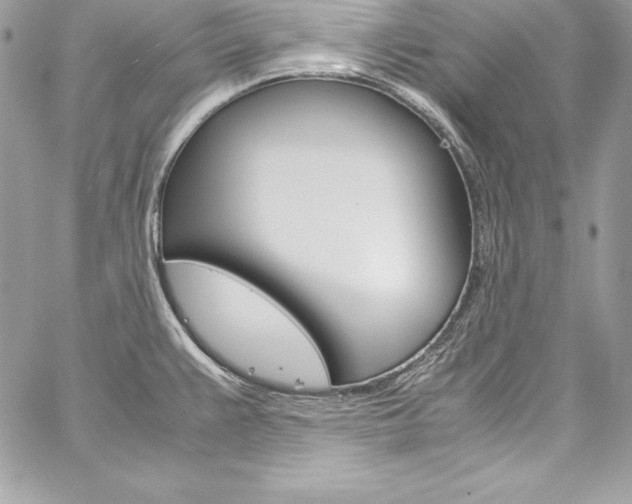 X0000060251383200510280927