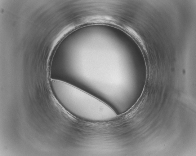 X0000060251384200510280927