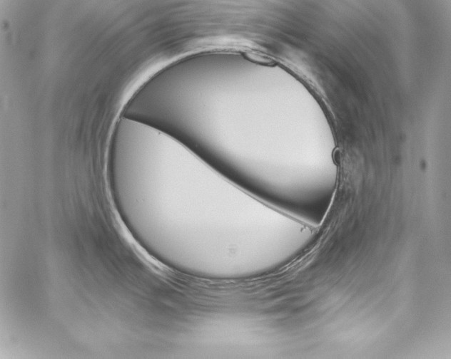 X0000060251391200510280927