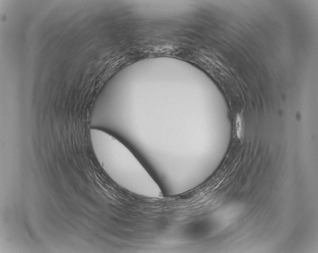 X0000060251395200510280926