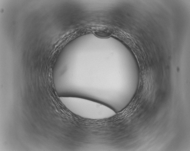 X0000060251397200510280926