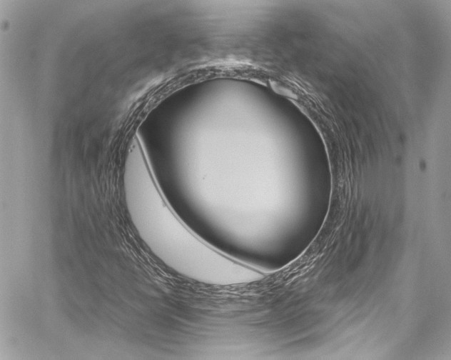 X0000060251398200510280926