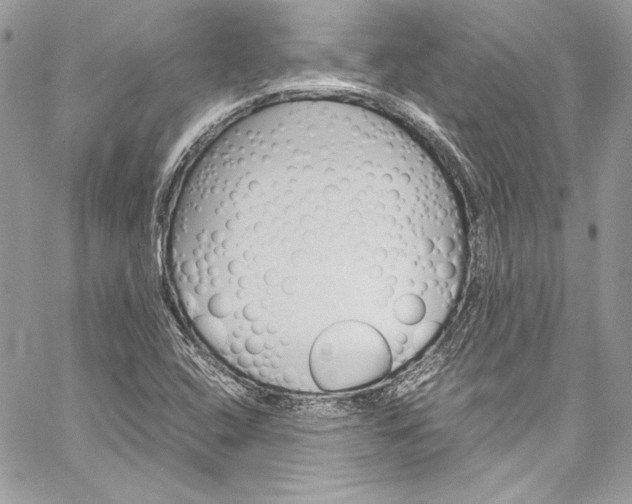 X0000060251408200510280927