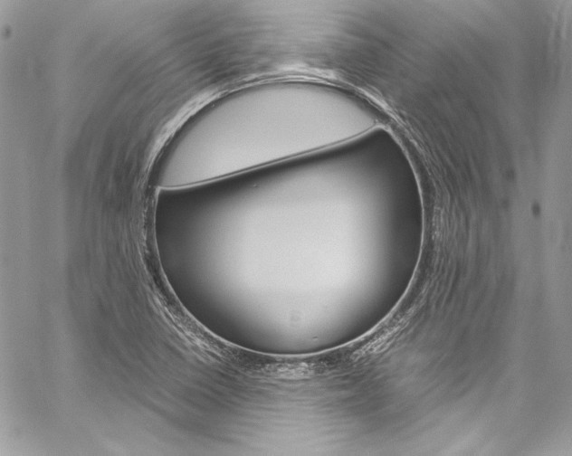 X0000060251410200510280927