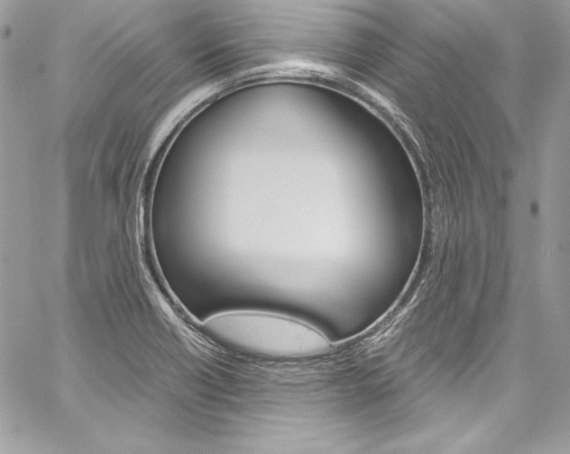 X0000060251418200510280927