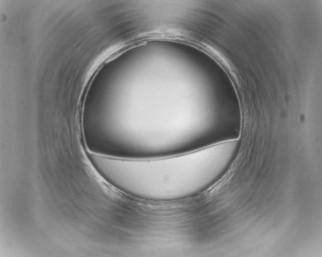 X0000060251434200510280927