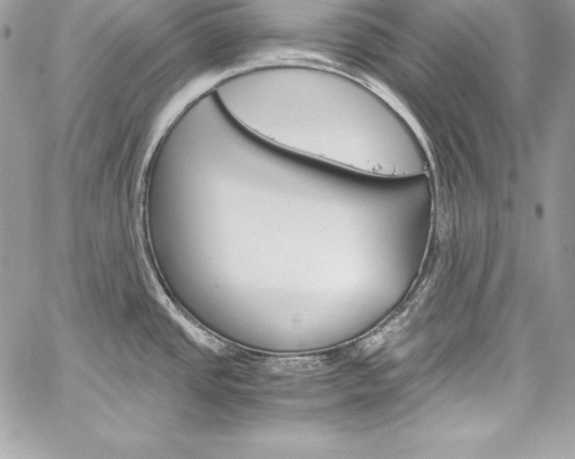 X0000060251437200510280927