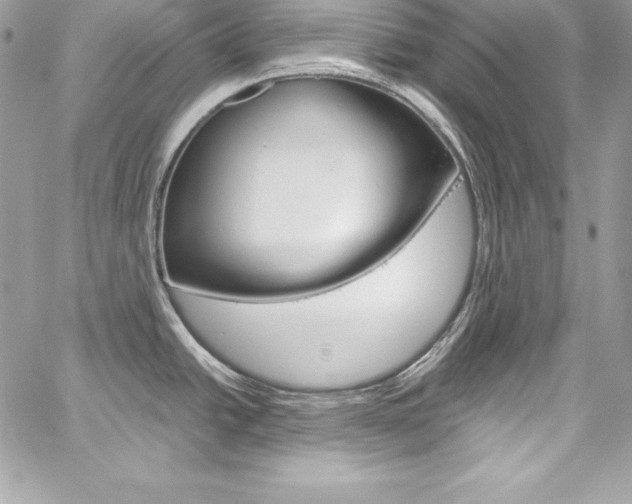 X0000060251438200510280927