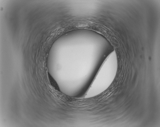 X0000060251441200510280926