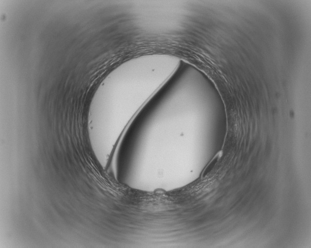 X0000060251442200510280926