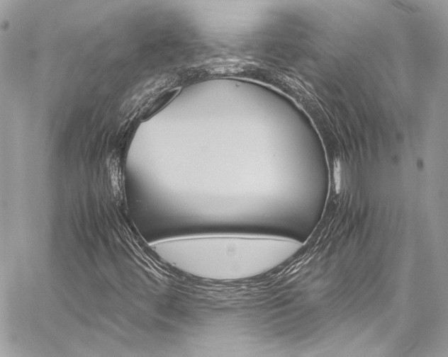 X0000060251444200510280926