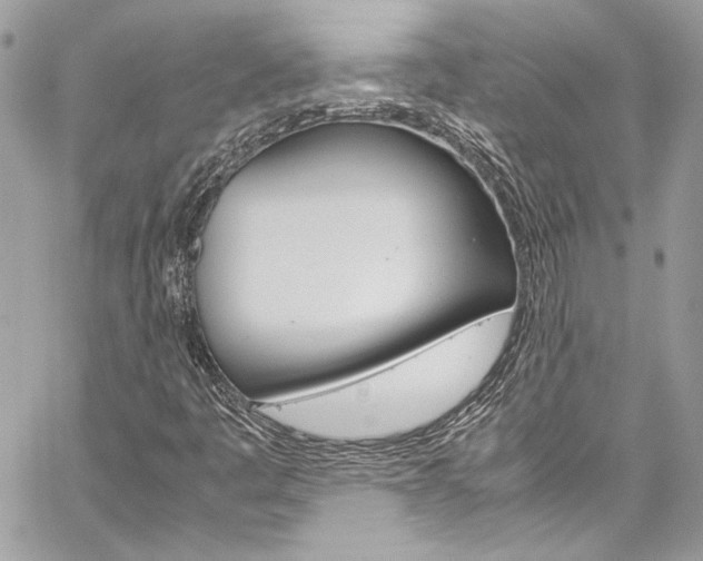 X0000060251445200510280926
