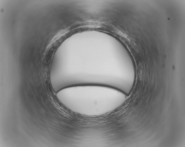 X0000060251448200510280926