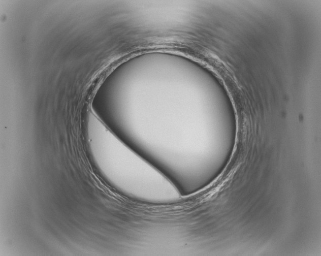 X0000060251449200510280926