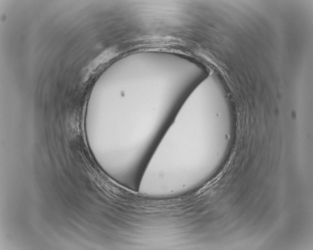 X0000060251451200510280926