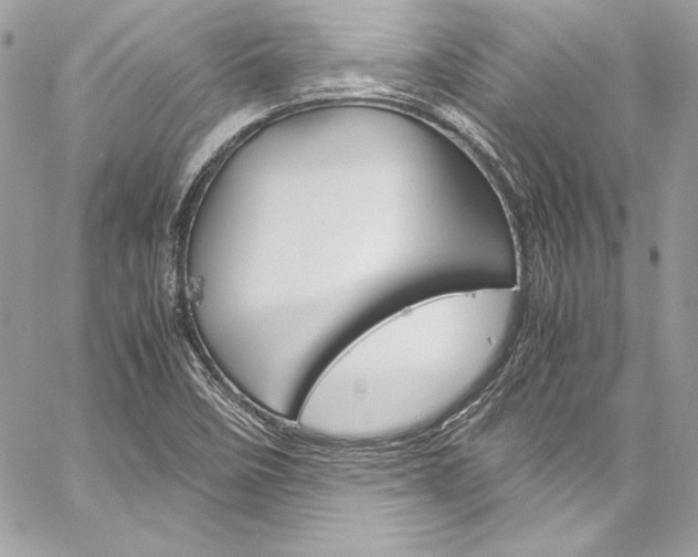 X0000060251458200510280926