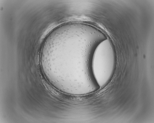 X0000060251459200510280926