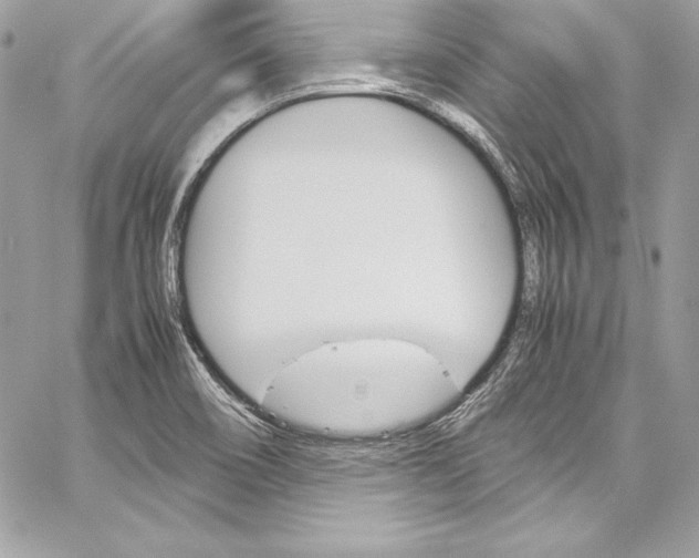 X0000060251466200510280926