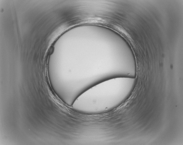 X0000060251467200510280926