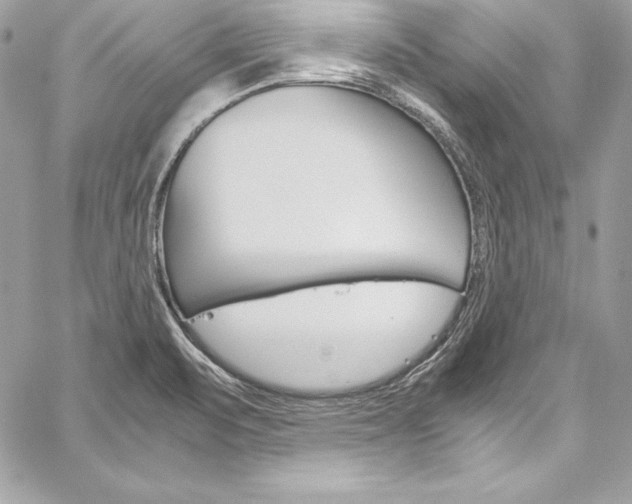 X0000060251471200510280926