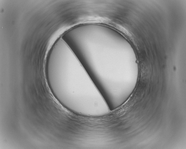X0000060251472200510280926