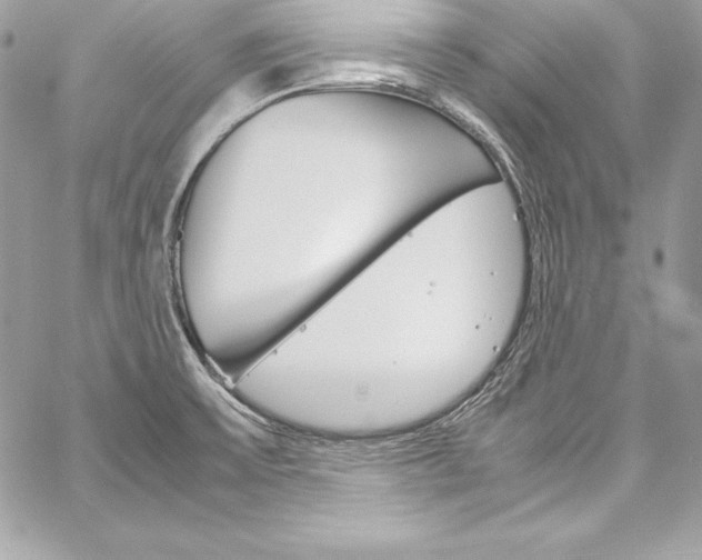 X0000060251475200510280926